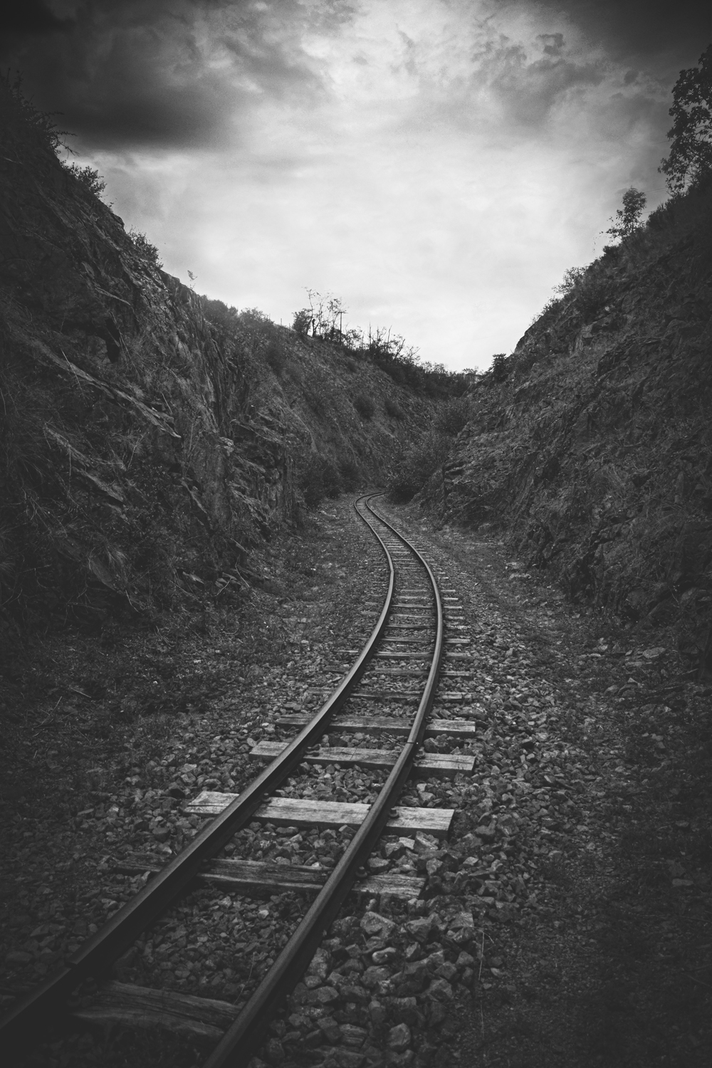 Détail de paysage rural